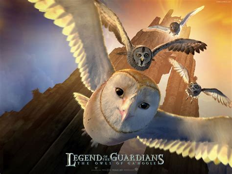 Legend of the Guardians: The Owls of Ga'Hoole - Movies Wallpaper ...