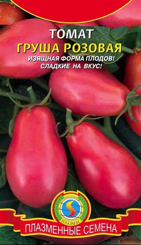 Томат Груша розовая: описание сорта, отзывы, фото | tomatland.ru