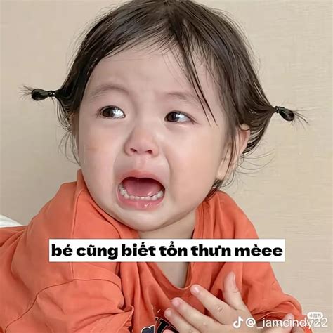Pin by Hanhhhh on Meme iu | Memes, Fun facts, Cute cats and dogs