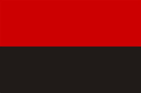 Черно-красный флаг: В Раде зарегистрирован законопроект о статусе черно ...