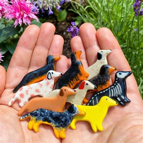 798 best Weenie images on Pholder | Pv Z Heroes, Dachshunds and Aww