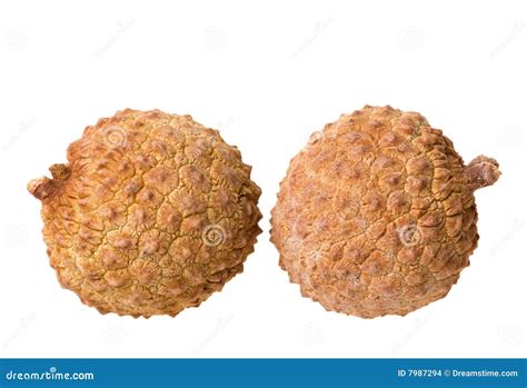 Dried Lychees Isolated stock photo. Image of organic, nutrition - 7987294