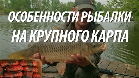 ЛОВЛЯ КРУПНОГО КАРПА - КАРПФИШИНГ. КАРПОВАЯ ОСНАСТКА, ПВА МЕШОЧКИ ДЛЯ ...