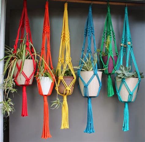 Jarrah Jungle: Hanging Pots And Plants