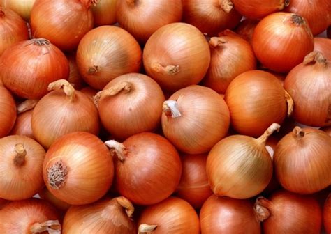 Buy Fresh Onion from Krishna Agro Cold Storage, India | ID - 445152