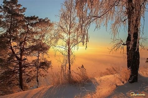 Зимнее утро | Фотосайт СуперСнимки.Ру