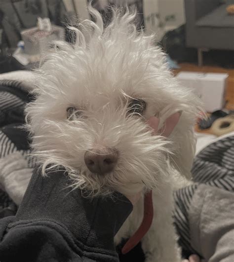 Gallery | yeahitsmegg | VSCO