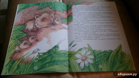 Книга: Познавательные сказки: Мама-ежиха - Лариса Тарасенко. Купить ...