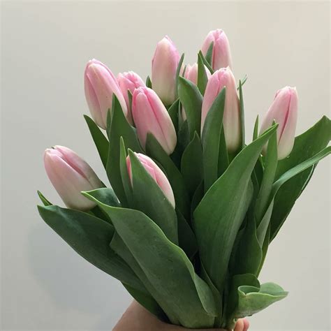 Bouquete Coquette ♡ | Pink flowers wallpaper, Boquette flowers, Pink ...