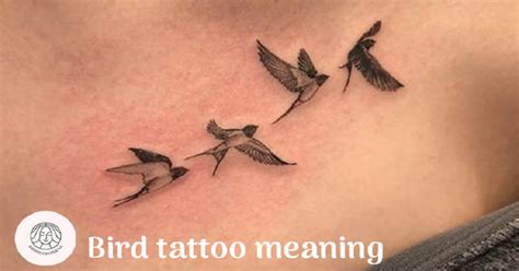 Bird Tattoo Meaning: Unlock The Symbolism of Freedom 2023