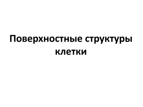 Поверхностные структуры клетки - презентация онлайн