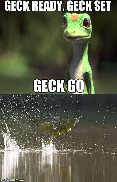 Geckgo Gecko - Imgflip