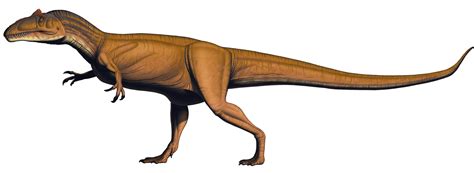 Allosaurus jimmadseni - Dinosaur National Monument (U.S. National Park ...