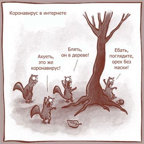 Белки-истерички | Пикабу