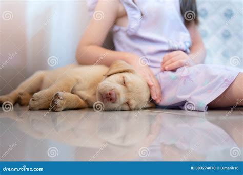 Little Girl with Labrador Sleeping Puppy Stock Photo - Image of teen ...