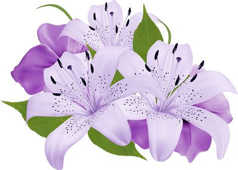 Purple lily clipart 20 free Cliparts | Download images on Clipground 2025