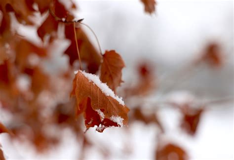 Winter storm in the New York forecast for this week: AccuWeather ...