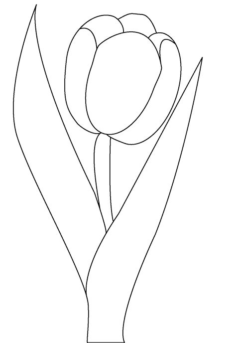 Printable Tulip Stencils - Printable Word Searches