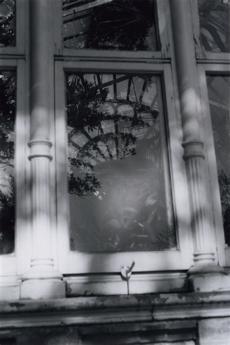 Reflective past | Melissa Hill Art and Design