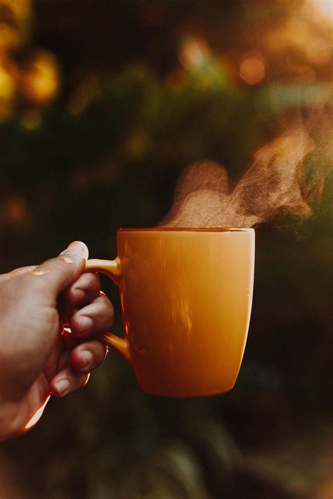 morning  pexels