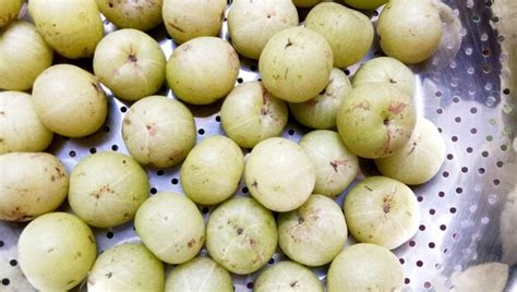 Premium Photo | Indian gooseberry fruit has medicinal properties