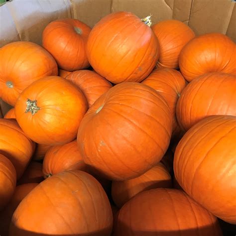 Historical eden brook funeral home & cemetery records reveal a secret 4