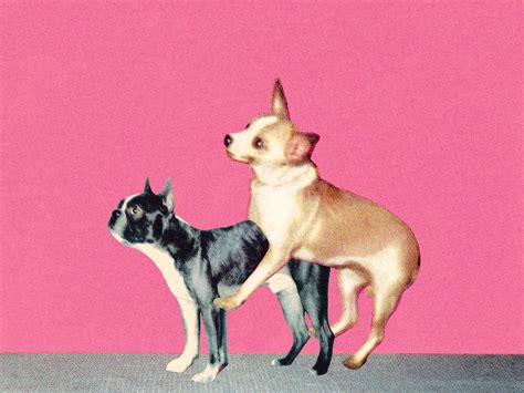 A BRIEF HISTORY OF SEX ON THE INTERNET - Itechment