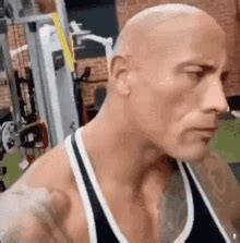 rock  rock meme gif  rock  rock meme dwayne johnson
