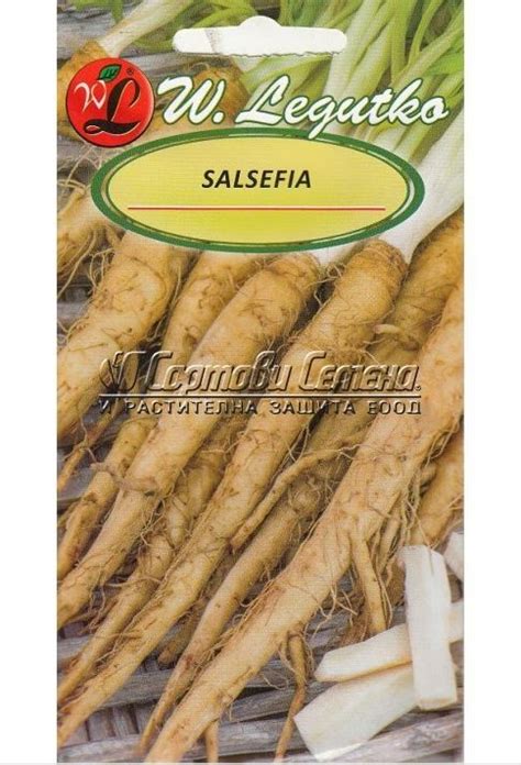Овесен корен, Козя брада Tragopogon porrifolius Salsefia 2 г | Сортови ...
