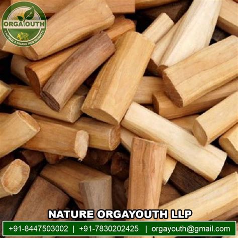 white sandalwood white chandan latest price manufacturers suppliers