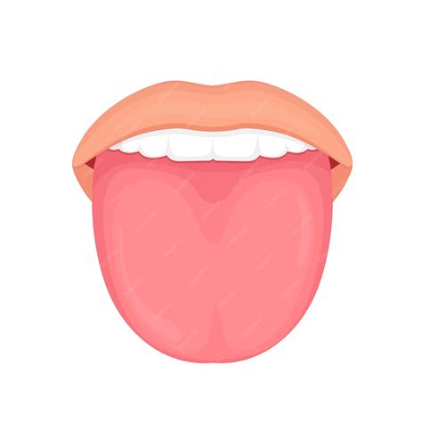Premium Vector | Healthy human tongue vector illustration