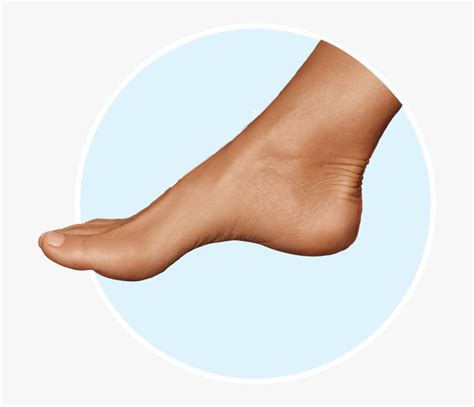 toe hd png  kindpng