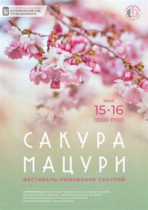 Фестиваль «Сакура Мацури» в Ботаническом саду Детские Страницы (СПб)
