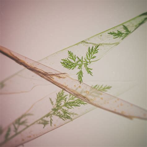 Anonib tn catalog access changes user data privacy forever 14