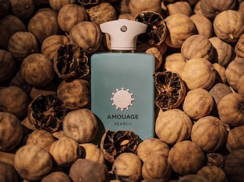 Amouage Search Review & Buying Guide