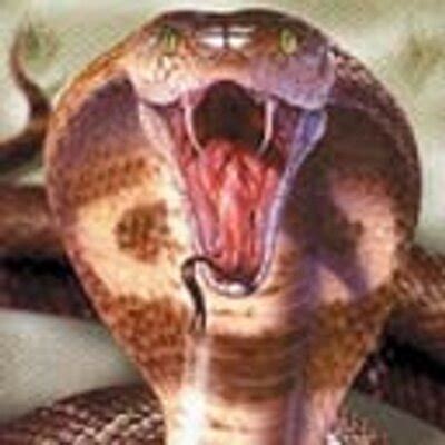 Terrikon.com (@FootBallRing) | Twitter