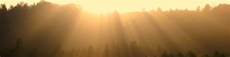 Santa Cruz (California) - Wikitravel