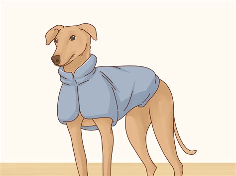 How Can I Keep My Dogs Warm Outside