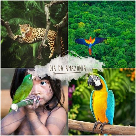 Texto Sobre A Amazônia - TANTO FAZ: Dia da Amazônia reflete importância da floresta para o Planeta