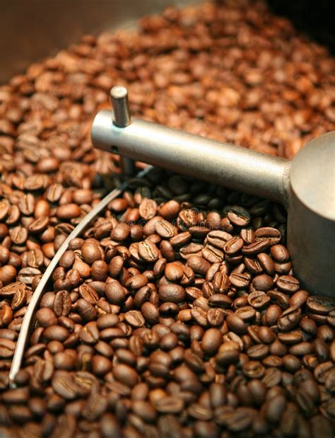 Coffee beans roasting stock image. Image of steam, espresso - 11522355