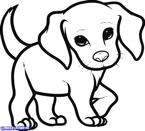 cute drawing   puppy  paintingvalleycom explore collection