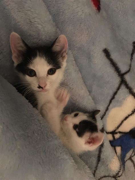 163 best Malloy images on Pholder | The Simpsons, The Orville and