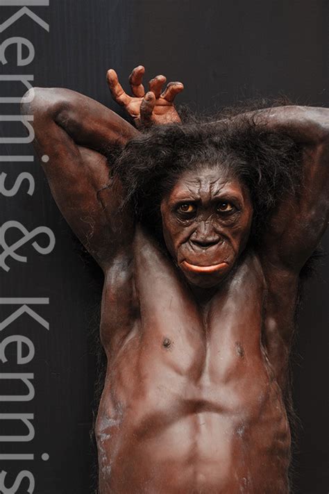 Homo habilis homo erectus neanderthal ancient man and his first ...