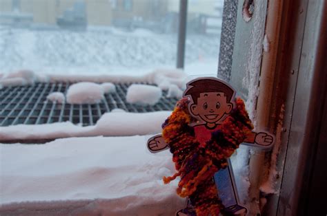 Weird weather | The Bowman Lab