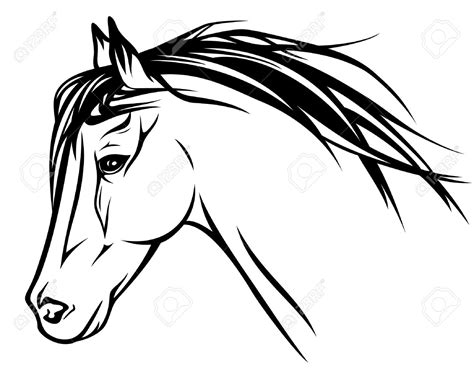 Horse Head Line Drawing | Free download on ClipArtMag