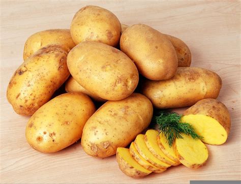 Amilopectina: funzioni, sintesi, usi
