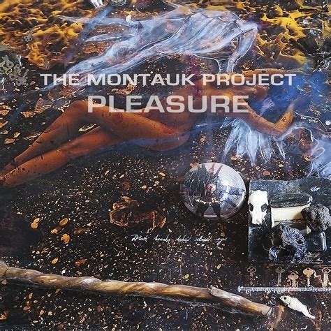 [Listen] The Montauk Project's Latest Single, "Pleasure" - Whalebone