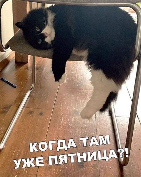 Новые анекдоты