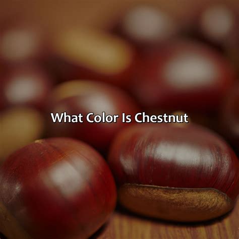 What Color Is Chestnut - colorscombo.com