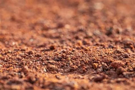 Solo arenoso: características e como se relaciona com a irrigação